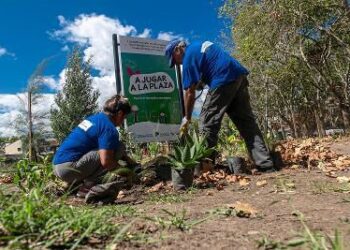 Reforestaron la Plaza Ángel Nené Coppola de Burzaco