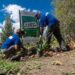 Reforestaron la Plaza Ángel Nené Coppola de Burzaco