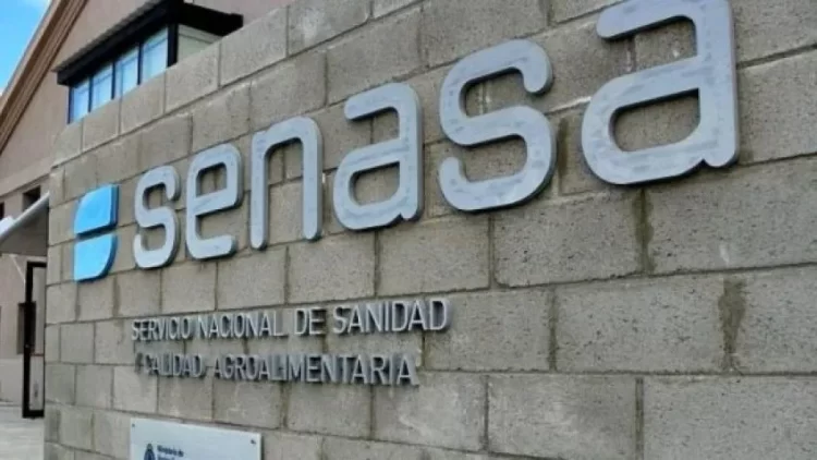 Paro de trabajadores del SENASA por amenaza de despidos