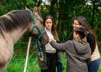 Lanzaron un programa de terapia asistida con animales