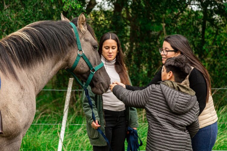 Lanzaron un programa de terapia asistida con animales
