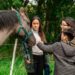Lanzaron un programa de terapia asistida con animales