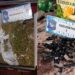 Seis detenidos por venta de droga