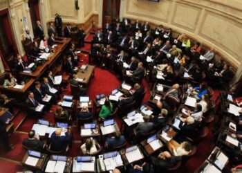 Ley Bases: “Si el gobierno no fuera tan obtuso aceptaría los cambios”