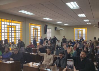 Crearon un programa de Responsabilidad Social Empresaria