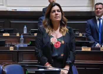 “El rol del PRO es acompañar al gobierno de Milei”