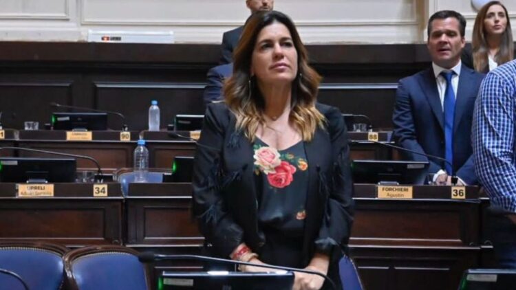 “El rol del PRO es acompañar al gobierno de Milei”