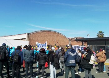 Crisis en el sector cartonero: “No estamos pudiendo sobrevivir”