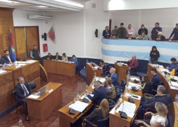 Con apoyo de parte de la oposición, el HCD aprobó la creación del programa “Lomas Limpia”