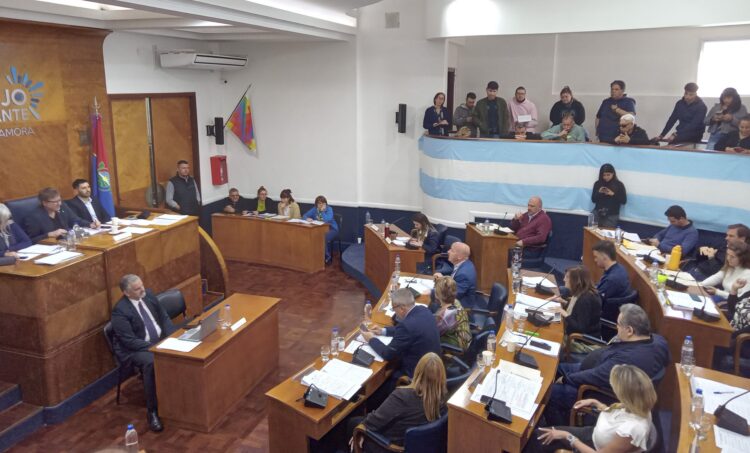 Con apoyo de parte de la oposición, el HCD aprobó la creación del programa “Lomas Limpia”