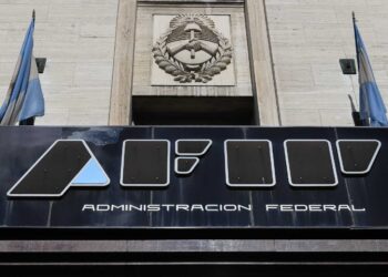 Cierre de la AFIP: “De ninguna manera los trabajadores cobran los sueldos que circularon”