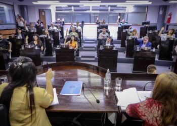 Después de diferentes hechos de violencia concejal libertaria quedó en la mira del HCD