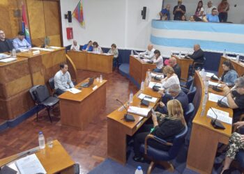 Concejo Lomas de Zamora