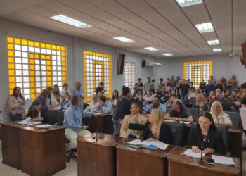 Declararon la emergencia sanitaria por dengue