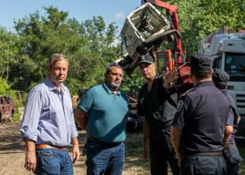 Compactaron 340 vehículos judicializados