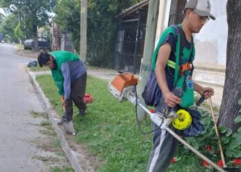 Denuncian el llamado a licitación para cortar el pasto en Lomas de Zamora