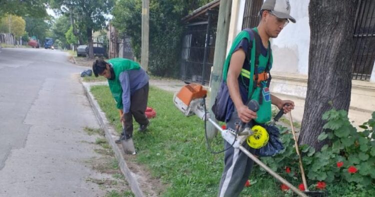 Denuncian el llamado a licitación para cortar el pasto en Lomas de Zamora