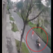 Atropelló a una jubilada