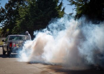 operativo prevención del dengue