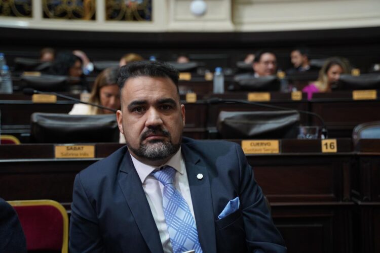 plazos electorales