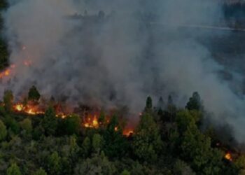 incendios en el sur