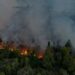 incendios en el sur