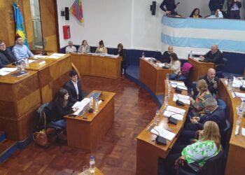 Lomas: El Papa Francisco, arbolado público y el FMI los ejes de la sesión del HCD