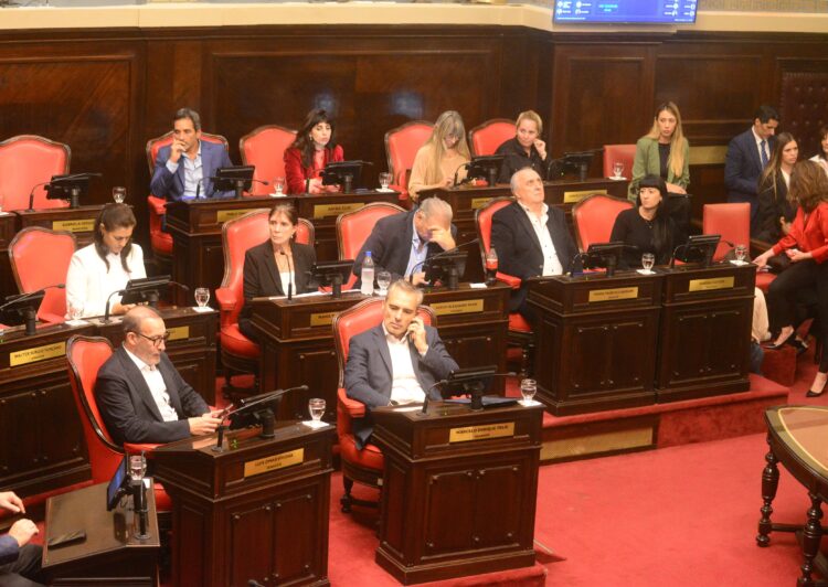 reelecciones indefinidas