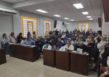 tenencia responsable de mascotas