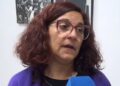 Paro docente