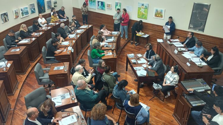 Avellaneda: El HCD aprobó una zonificación en la zona de las barracas