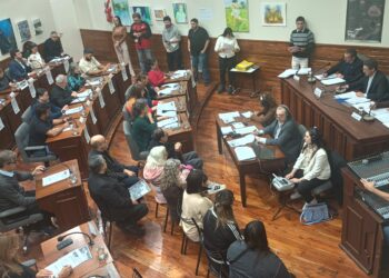 Avellaneda: El HCD sesionó con eje en la regularización de obras