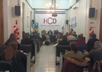 Brown: el Concejo sesionó con foco en la privatización de AySA