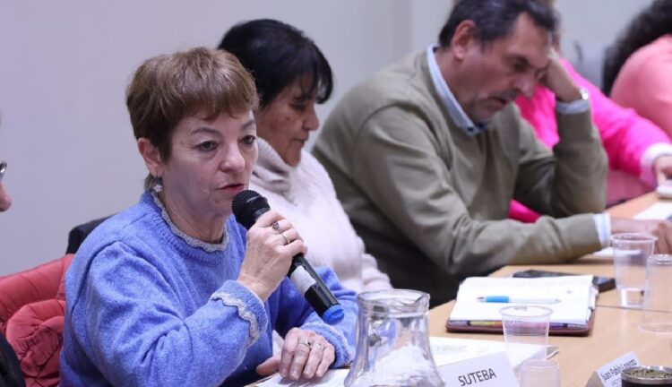 Docentes