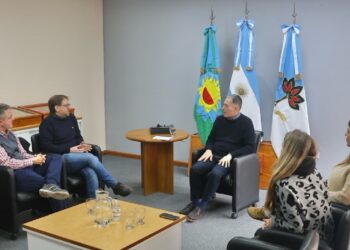 Promoción Industrial